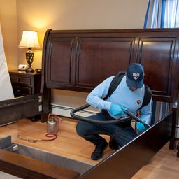 A pestrol technician wearing a light blue uniform, gloves, and a cap kneels beside a wooden bed frame in a bedroom. He uses a vacuum-like hose to treat or clean the bed structure. A metal sprayer with a red hose sits on the floor nearby, and a mattress leans against the wall. The room features dark wooden furniture, lamps, and a window with blue-striped curtains, suggesting a professional pest treatment in progress.