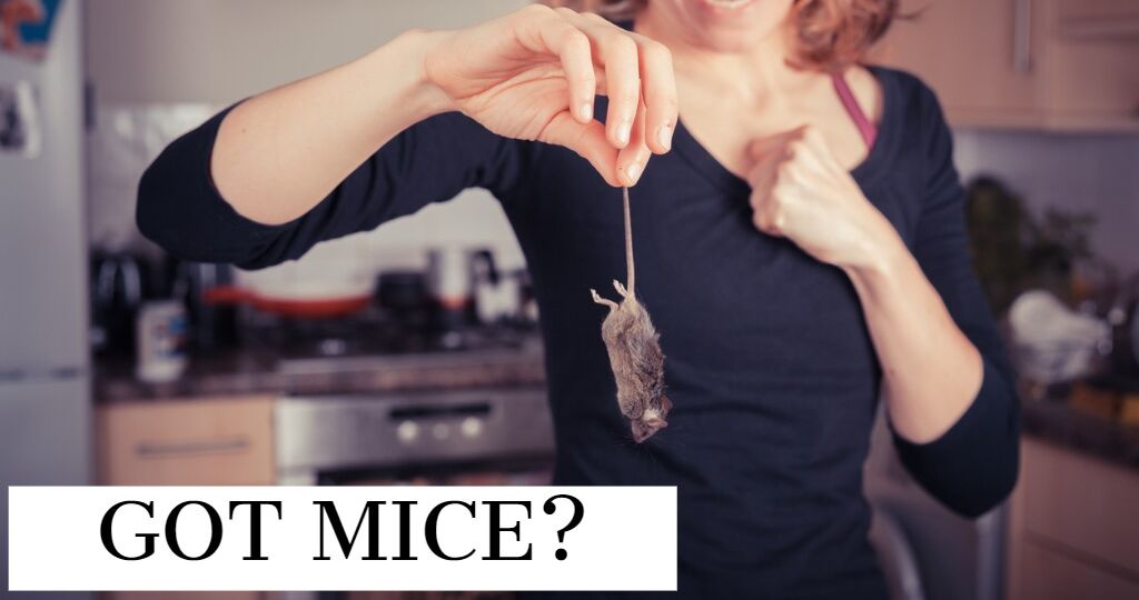 Woman holding dead mouse by tail