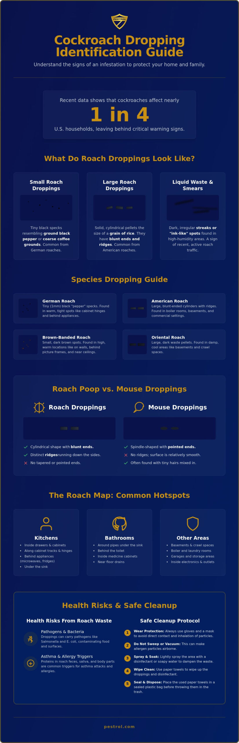 What Do Cockroach Droppings Look Like? A 2026 Identification Guide
