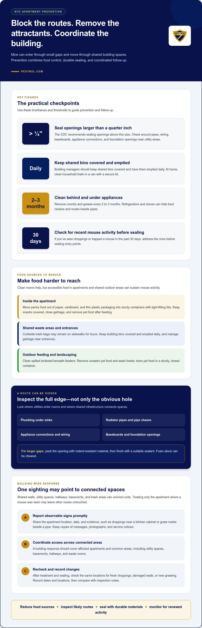 Seal NYC Entry Points and Reduce Mice in Your Apartment Building